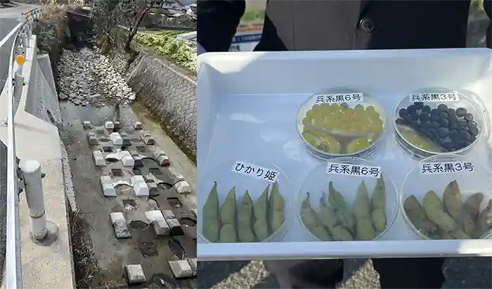 人口が少なくても幸せな地域づくり